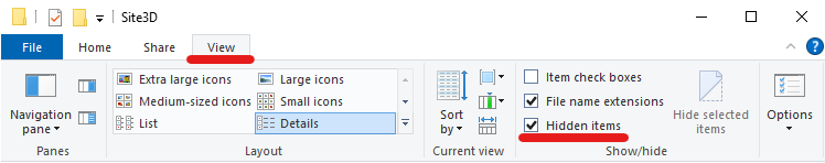 Windows Explorer hidden files option