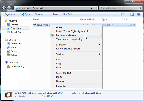 Install Network License Server