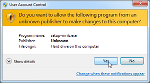 Install Network License Server