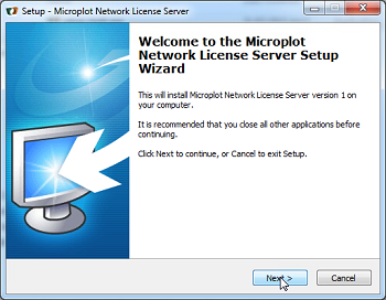 Install Network License Server