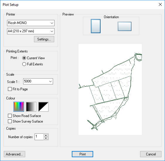 Printing/Plotting window